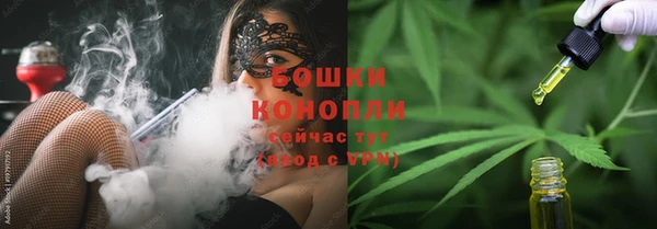 apvp Вяземский