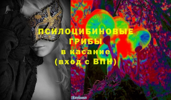 крисы Володарск