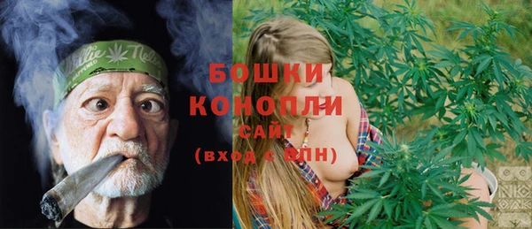 крисы Володарск