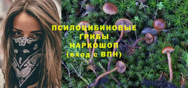 скорость Волосово